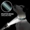Aiminto Adjustable Nylon Reflective Martingale Dog Collar for Training and