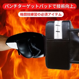 ORIJIRI Boxing Sandbag Target Punch Pad Stress Relief Punch Wall Kick Mitt Karate Martial Arts (Black)