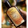 AGADIR Argan Oil Hair Treatment, 4 Fl Oz (Pack of