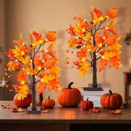 2 Pack 24" Lighted Fall Maple Tree, Fall Decorations Artificial Light Up Fall Tabletop Tree with 24 Prelit Lights Thanksgiving Decoration for Home Indoor Autumn Harvest Decor