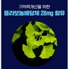 Bewell PS 포스파티딜세린 300mg 징코 인지력 기억력 두뇌엔 3통 /