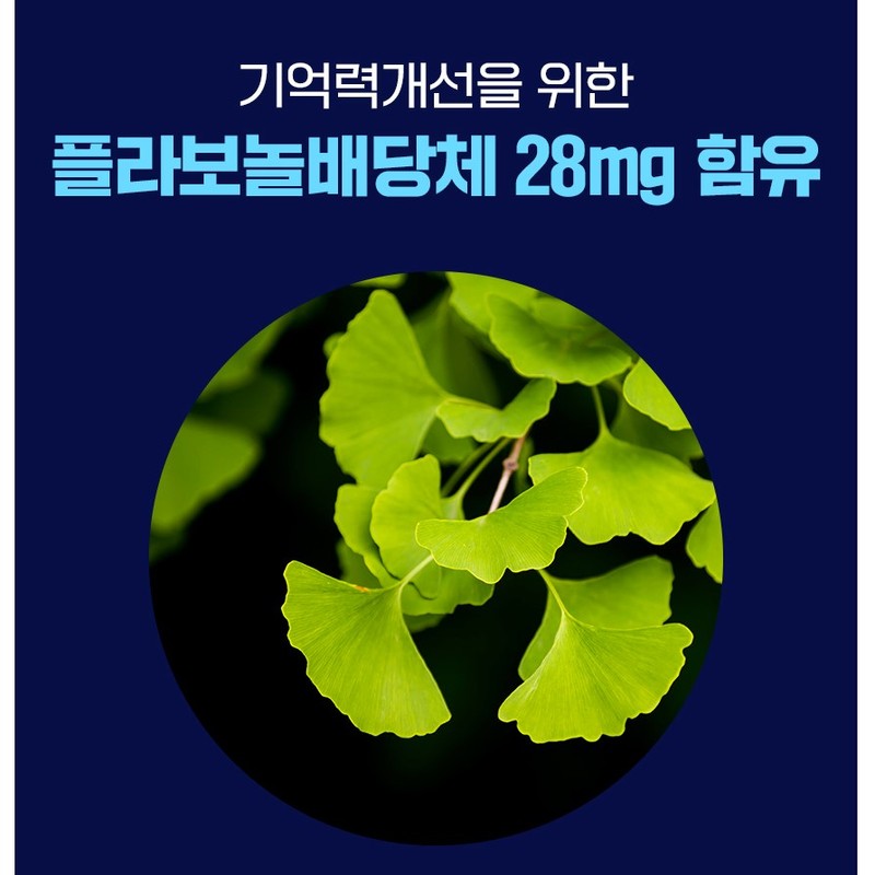 Bewell PS 포스파티딜세린 300mg 징코 인지력 기억력 두뇌엔 3통 /