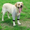 Dog Elbow Sleeves, Warm Comfortable Adjustable Dog Front Leg Sleeve
