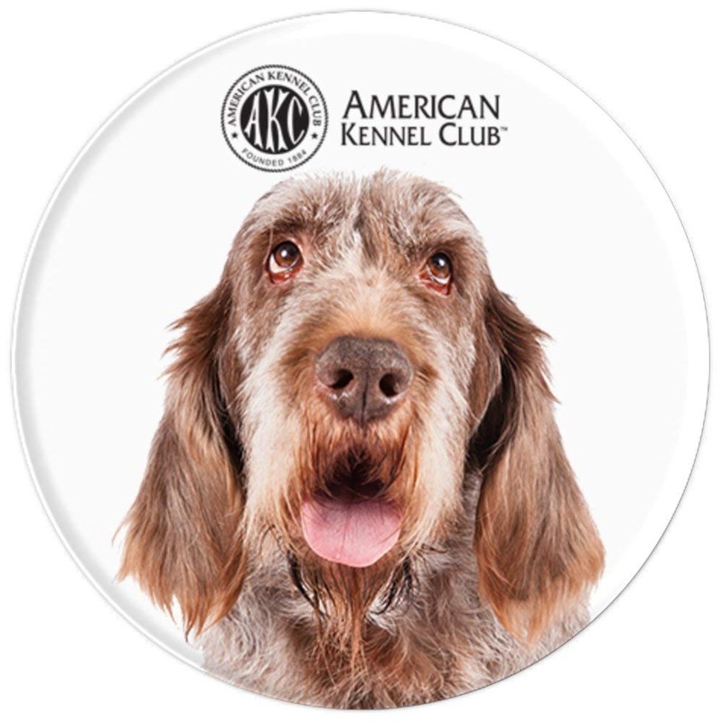 AKC Spinone Italiano Photo PopSocket