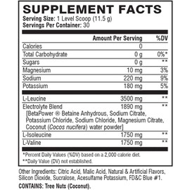 XTEND Sport BCAA Powder Blue Raspberry Ice - Electrolyte Powder for Recovery & Hydration with Amino Acids - 30 Servings