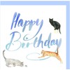 Cat and Kitten Birthday Card - Quality Blank Greetings Card