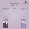 Alterna Caviar Anti-Aging Multiplying Volume Styling Mist, 5 Ounce |