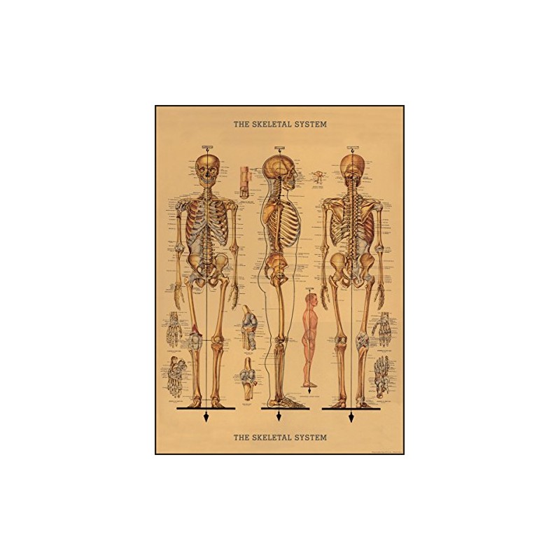 Decorative Wrap 20x28 Skeleton