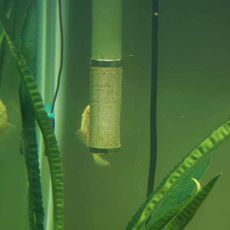 Bilindasly 12mm Stainless Steel Aquarium Inflow Inlet Filter Aquarium Filter