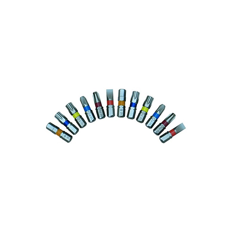 Proteco-Werkzeug Professional Bit Set Torx 40 C6 3 x 25