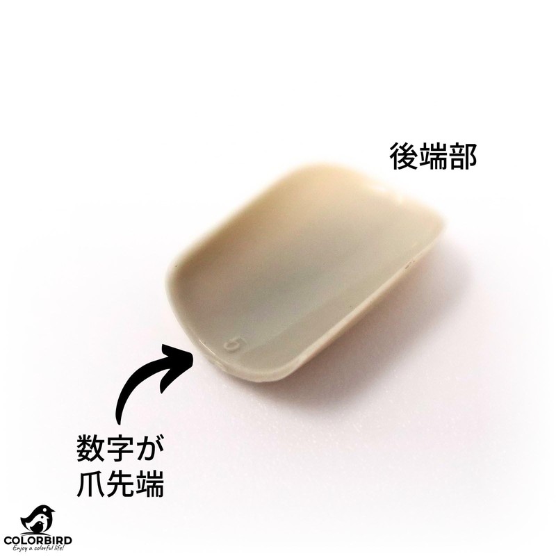 COLORBIRD NAILFAIRY (025ZF) Nail Tips, Short, Black, Green, Yellow, Cute,