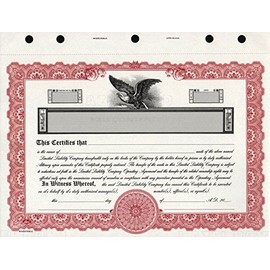 KG9 LLC Stock Certificate Maroon - Made in The USA