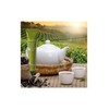 TONYMOLY The Chok Chok Green Tea Watery Eye Cream, 1.7