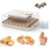 Unbranded 56 EGG Incubator for Hatching Egg Temperature Humidity Control