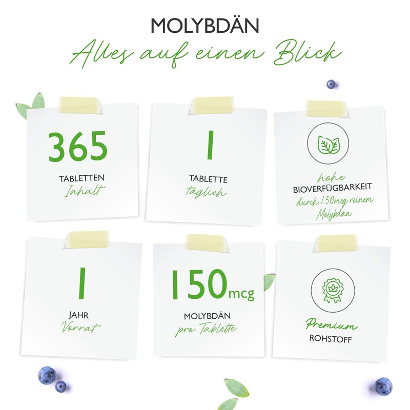 Molybdenum, 150 mcg, 365 tablets for one year, pure sodium