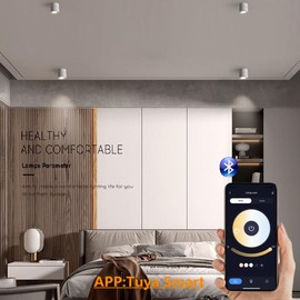 LED Dimmable Ceiling Spotlight Indoor 360°Adjustable -Tuya Smart Life Surface Mounted 12W COB Directional Art Lighting-Hard Wired Ceiling Downlight for Mural Display Home shop (White, 3.94"*4.02")