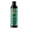 Mr Gentle  Shampoo Cabello Pelo Anticaspa Hombre Hidratación Caballero