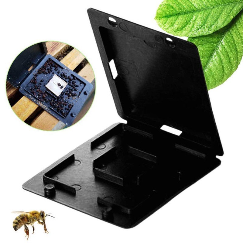 CHUANGRONG-US 9 Pcs Beekeeping Beehive Beetle Collector Trap Durable Catching