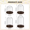 Suclain 4 Pcs Clear Glass Dome Cloche with Wood Base
