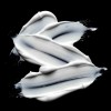 Mascarilla Capilar Sebastian Professional Dark Oil 30ml