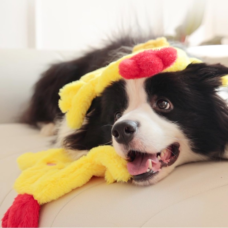 Tamu style Dog Chicken Crinkle Toy, Plush Squeaky 14 Inches,