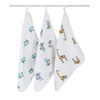 Aden + Anais Washcloth Set, Set of 3