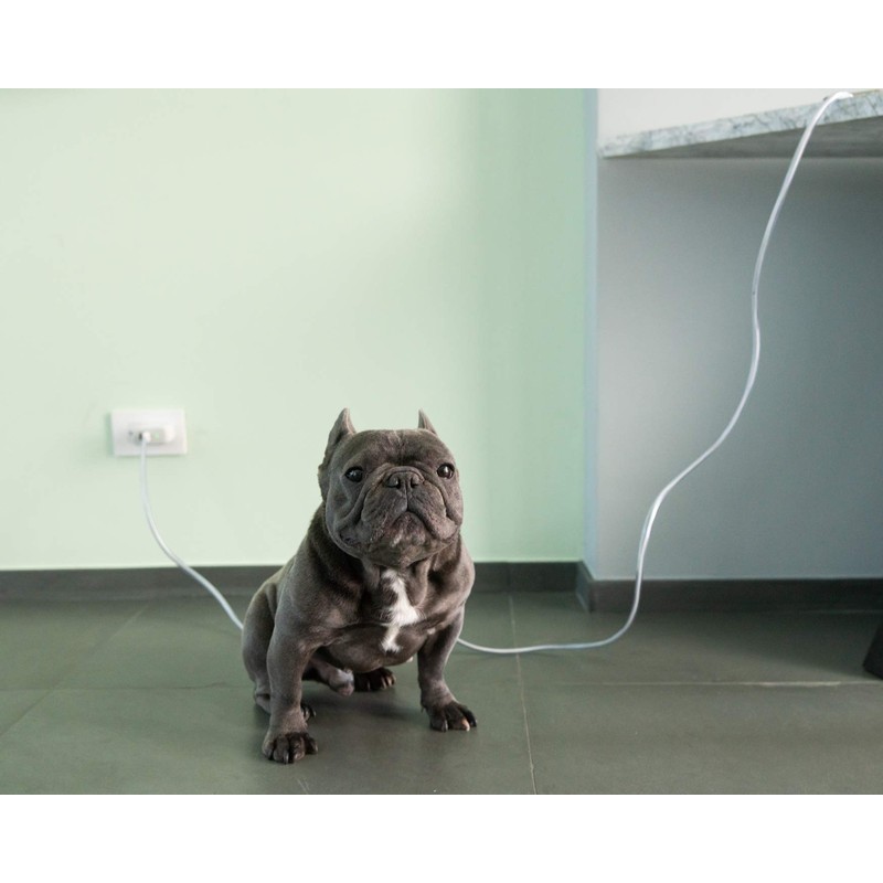 PetCords Dog And Cat Cord Protector- Protects Your Pets From