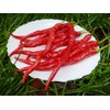 Cayenne Pepper Chili Hot Spicy Seeds Vegetable for Planting Giant