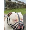 Biothane Dog Muzzle | Training & Behaviour | Strong, Waterproof