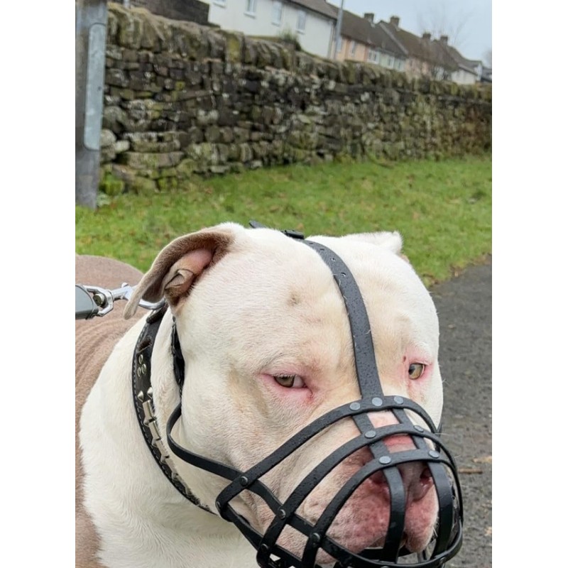 Biothane Dog Muzzle | Training & Behaviour | Strong, Waterproof