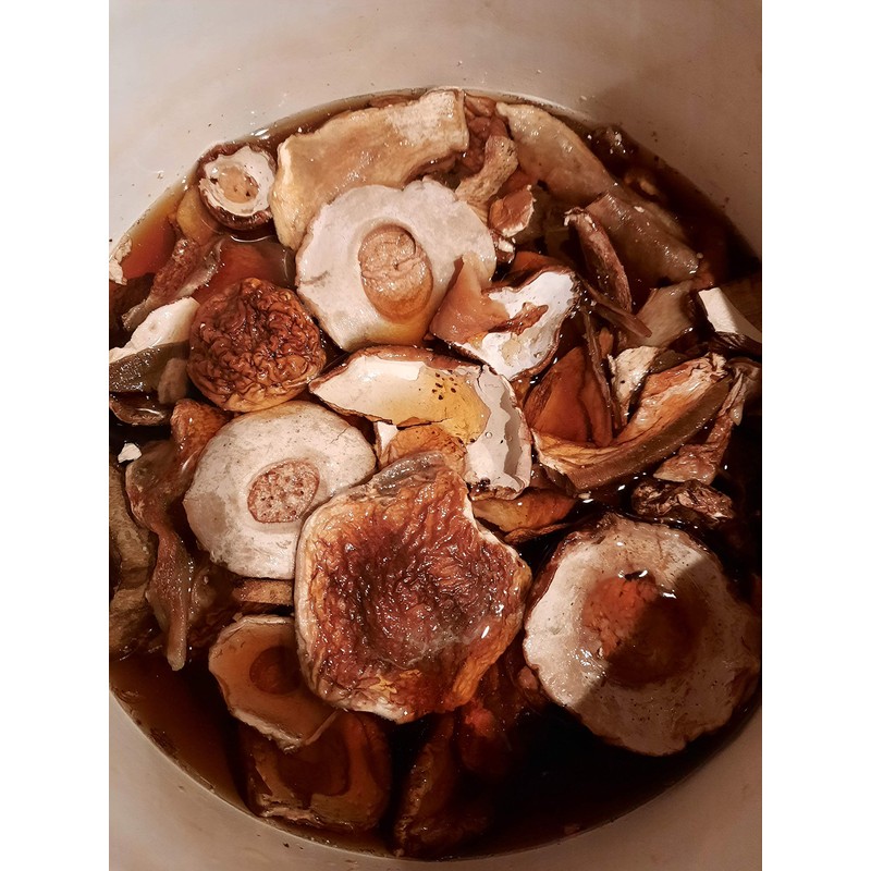 Seweryn Premium Grade 1 Polish Forest Dried Porcini Mushrooms Whole