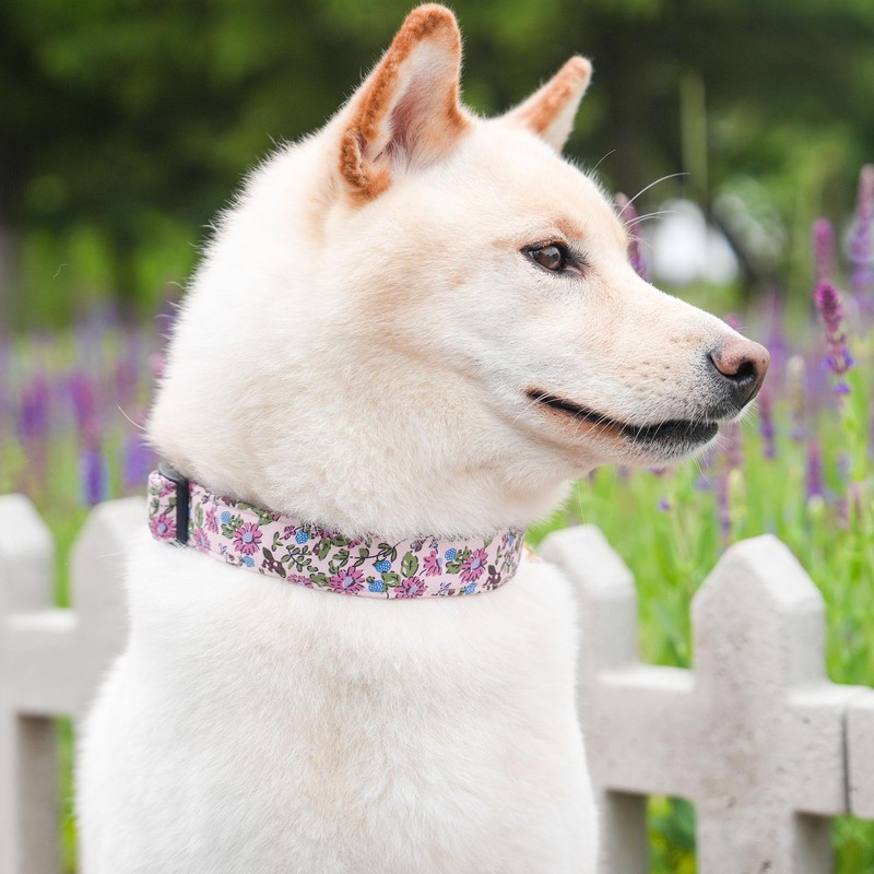 TEEMERRYCA Floral Print Dog Collar with Flower Charm - Durable