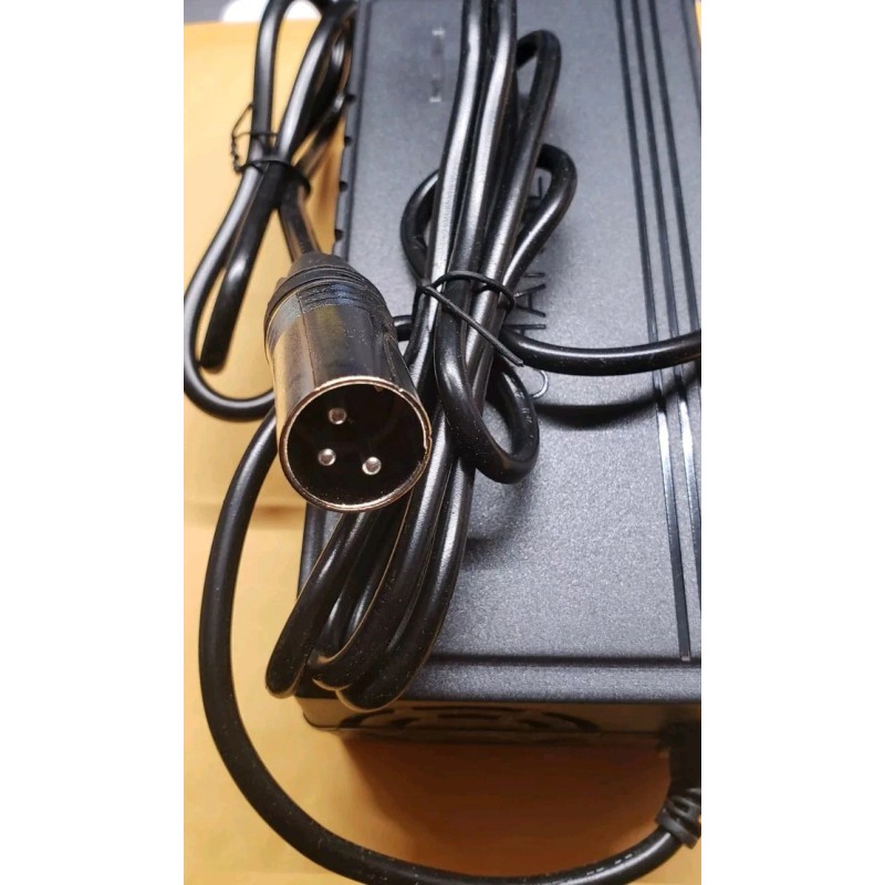 coming data fast 3A power supply battery Charger for EMOVE