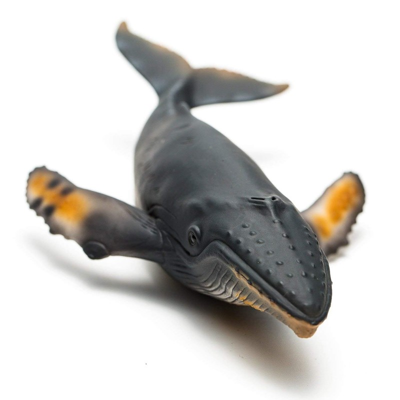 CollectA Humpback Whale