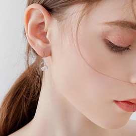 JERWLI Capybara Earrings 925 Sterling Silver Heart Pendant Capybara Jewelry for Women