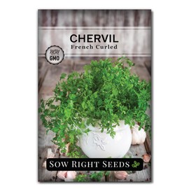Sow Right Seeds - French Curled Chervil Seeds for Planting - Non-GMO Heirloom Packet with Instructions to Plant & Grow an Outdoor or Indoor Herb Garden - Fine French Parsley - Medicinal & Culinary (1)