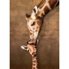 Giraffe Mother's Kiss Puzzle, 500-Piece