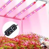 6 Head 54W 216LEDs Plant Growth Light with 3 Light