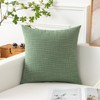 Kevin Textile Set of 2 Sage Green Pillow Covers 18