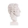 Alexander The Great of Macedonia Bust Greek Statue Figure 6