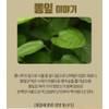 Free Market Cooperation Brand Mulberry Leaf Gaba Benefits Dried Mulberry