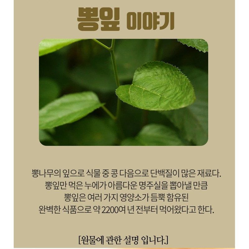 Free Market Cooperation Brand Mulberry Leaf Gaba Benefits Dried Mulberry