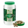 VITA IDEAL Vegan® Willow Bark 180 Capsules – Salix Alba