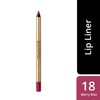 Colour Elixir Lip Liner Shade Extension Berry Kiss 18