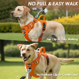 SlowTon No Pull Dog Harness, Heavy Duty No Choke Pet Harness with 2 Leash Clips and Easy Control Vertical Handle, Adjustable Soft Padded Dog Vest for Small, Medium and Large Dogs(Orange,Large)