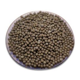 Chamdoori Garlic Pills 500g / 참두리 마늘환 500g