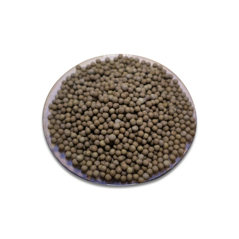 Chamdoori Garlic Pills 500g / 참두리 마늘환 500g
