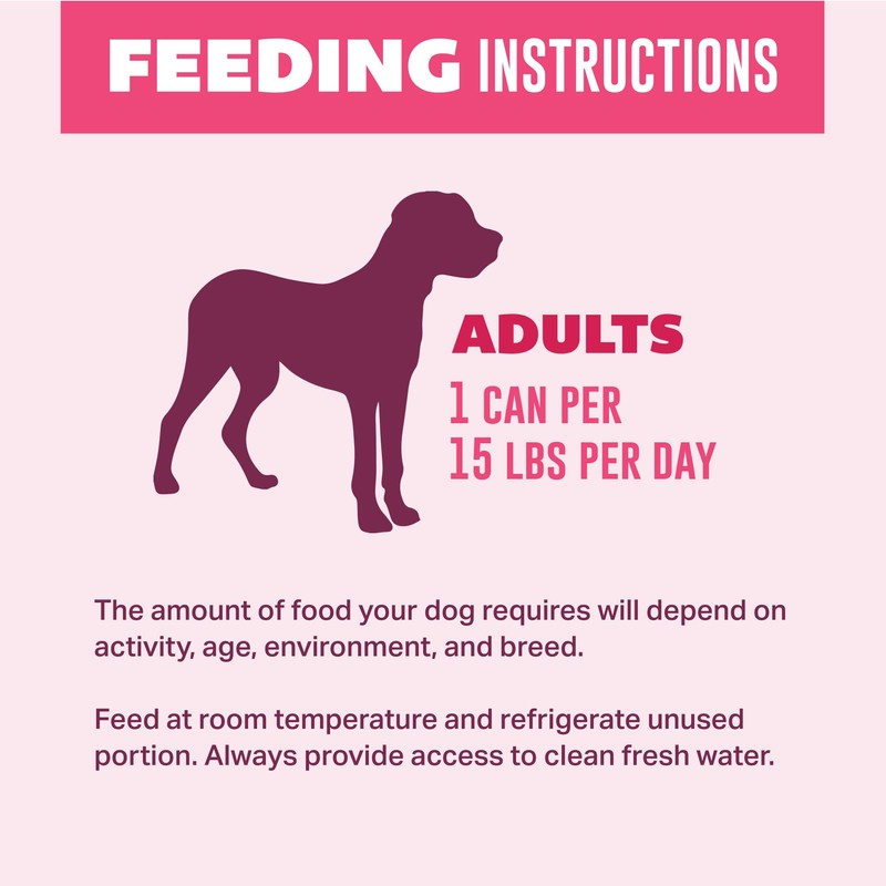 YOUR PET'S KITCHEN Wet Dog Food, Beef Recipe - 13.2