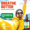 Extracto De Hojas De Gordolobo Para Los Pulmones: Gotas De
