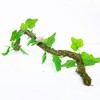 Begeterday Hermit Crab Climbing Toy with Artificial Vines, 25 Inch